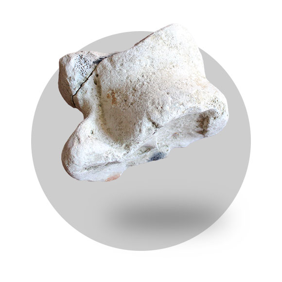 0-paleo
